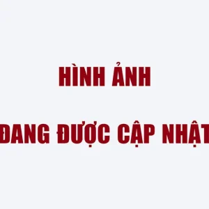 Thước Lái Suzuki CARRY PRO 2019 - 2024 | AKYDO