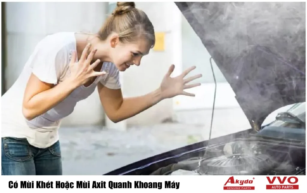 Có Mùi Khét Hoặc Mùi Axit Quanh Khoang Máy