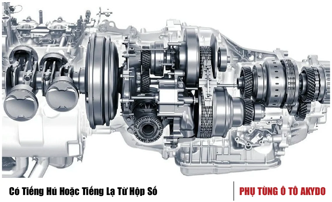 Có Tiếng Hú Hoặc Tiếng Lạ Từ Hộp Số