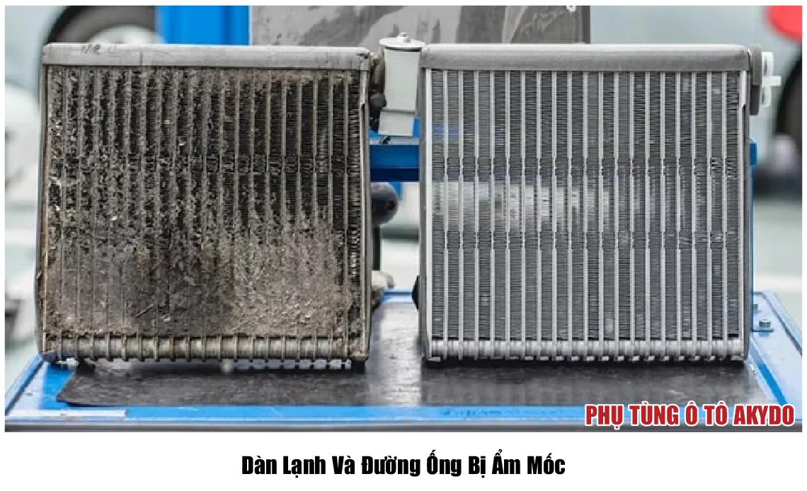 Dàn Lạnh Và Đường Ống Bị Ẩm Mốc