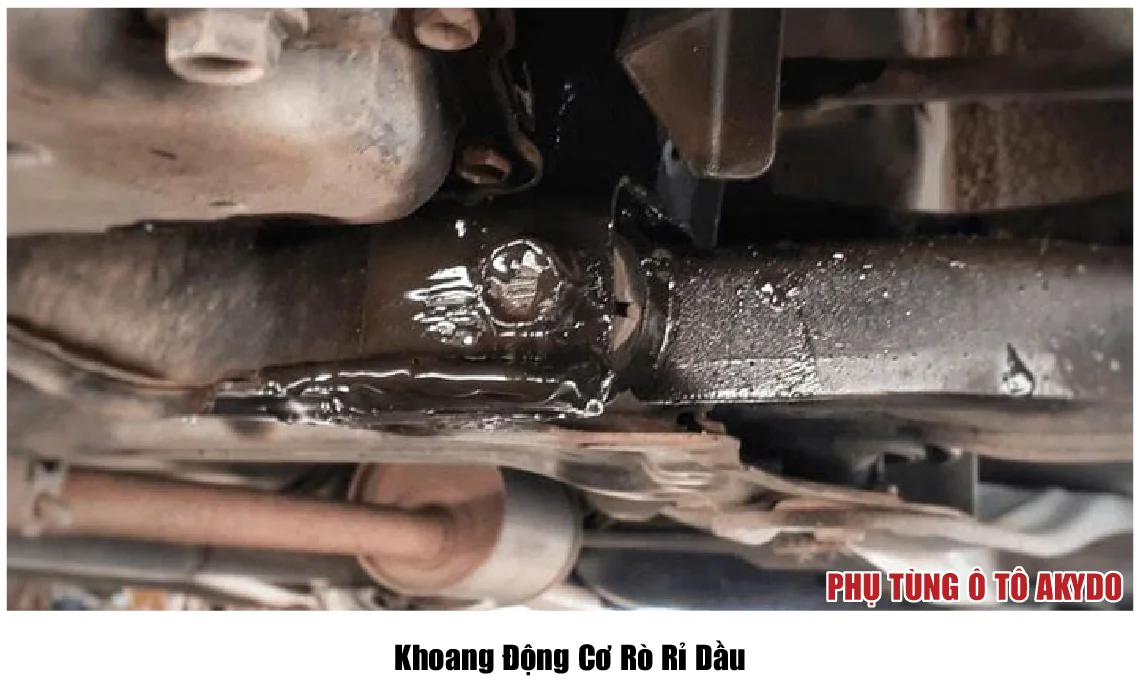 Khoang Động Cơ Rò Rỉ Dầu
