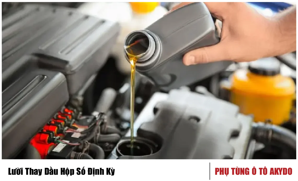 Lười Thay Dầu Hộp Số Định Kỳ