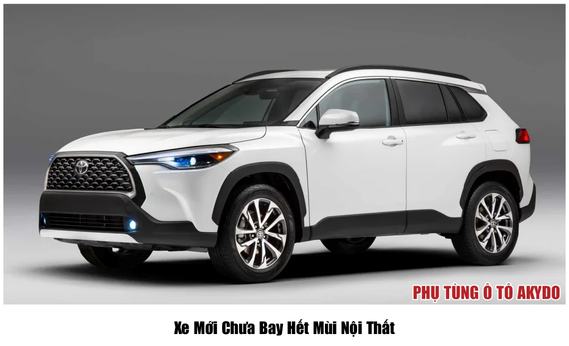 Xe Mới Chưa Bay Hết Mùi Nội Thất
