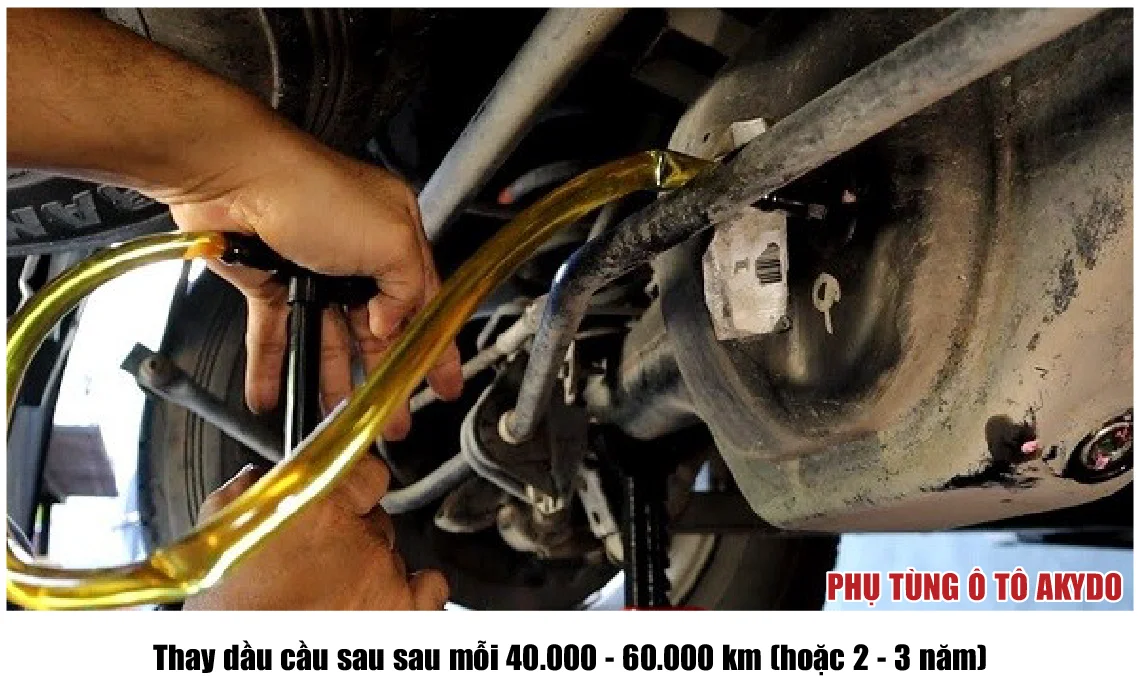 Thay dầu cầu sau sau mỗi 40.000 - 60.000 km (hoặc 2 - 3 năm)